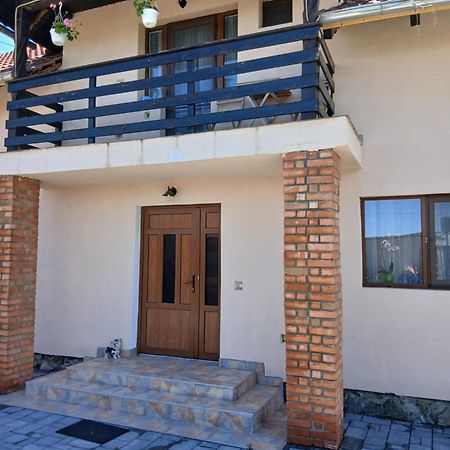 Casa Loredana Cîrţişoara Buitenkant foto