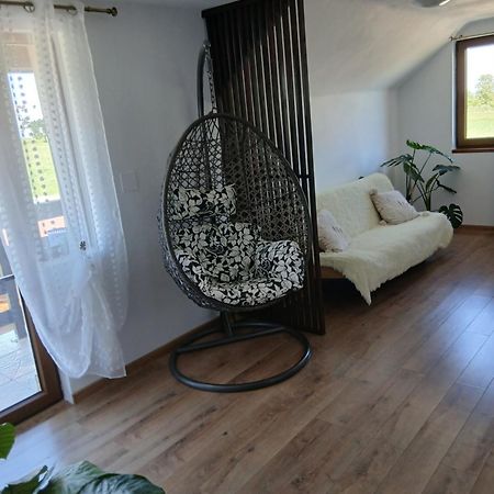 Casa Loredana Cîrţişoara Buitenkant foto