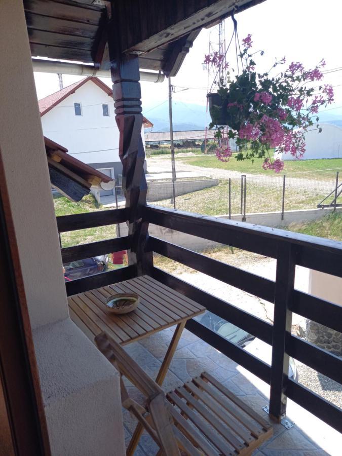 Casa Loredana Cîrţişoara Buitenkant foto