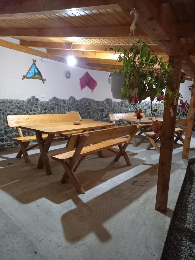 Casa Loredana Cîrţişoara Buitenkant foto