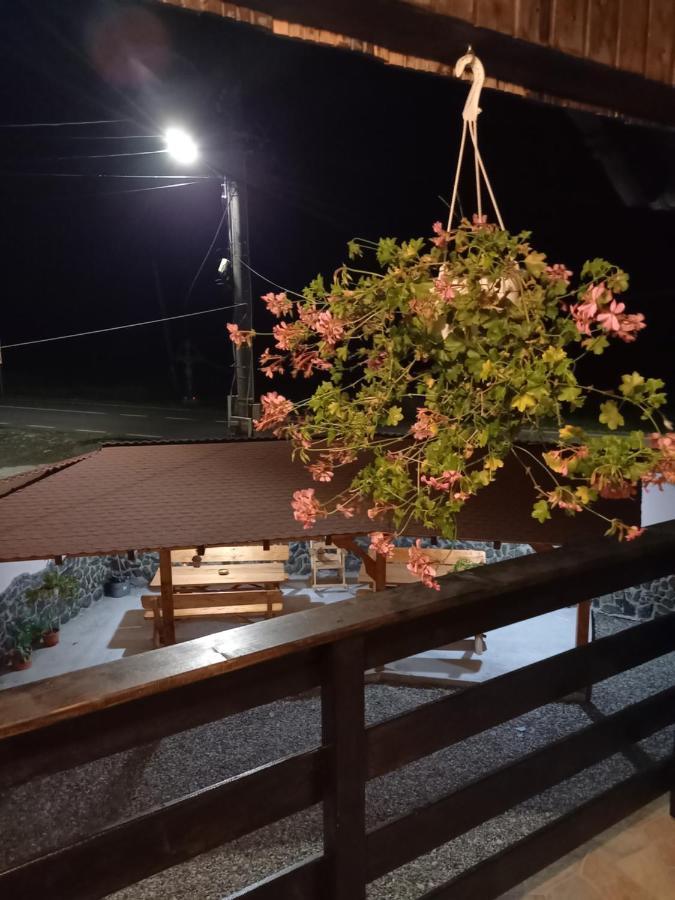 Casa Loredana Cîrţişoara Buitenkant foto