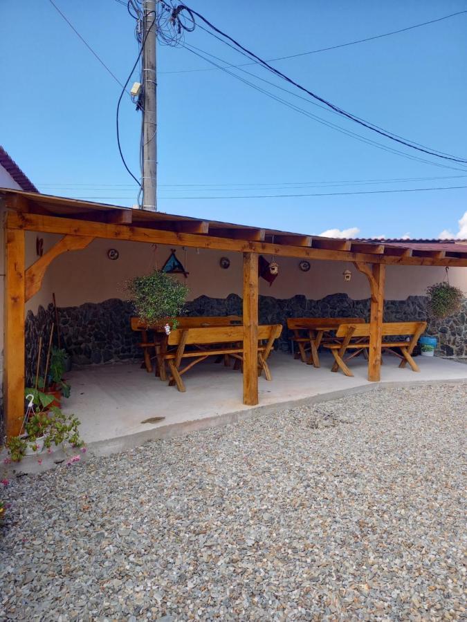 Casa Loredana Cîrţişoara Buitenkant foto