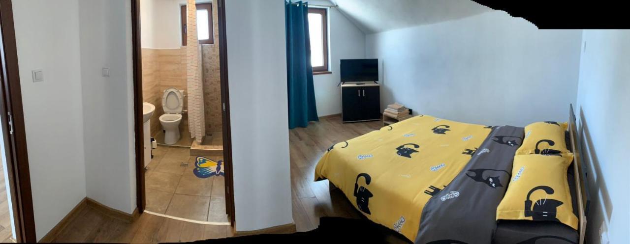 Casa Loredana Cîrţişoara Buitenkant foto