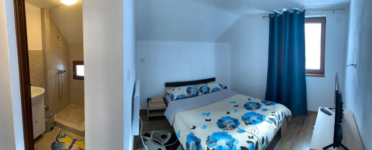 Casa Loredana Cîrţişoara Buitenkant foto