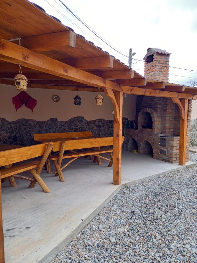 Casa Loredana Cîrţişoara Buitenkant foto