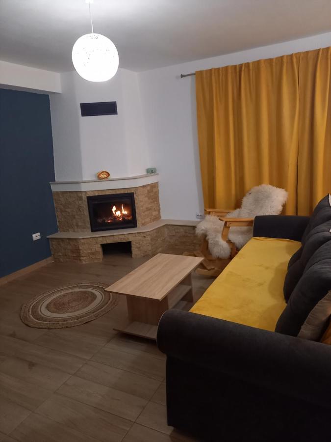 Casa Loredana Cîrţişoara Buitenkant foto