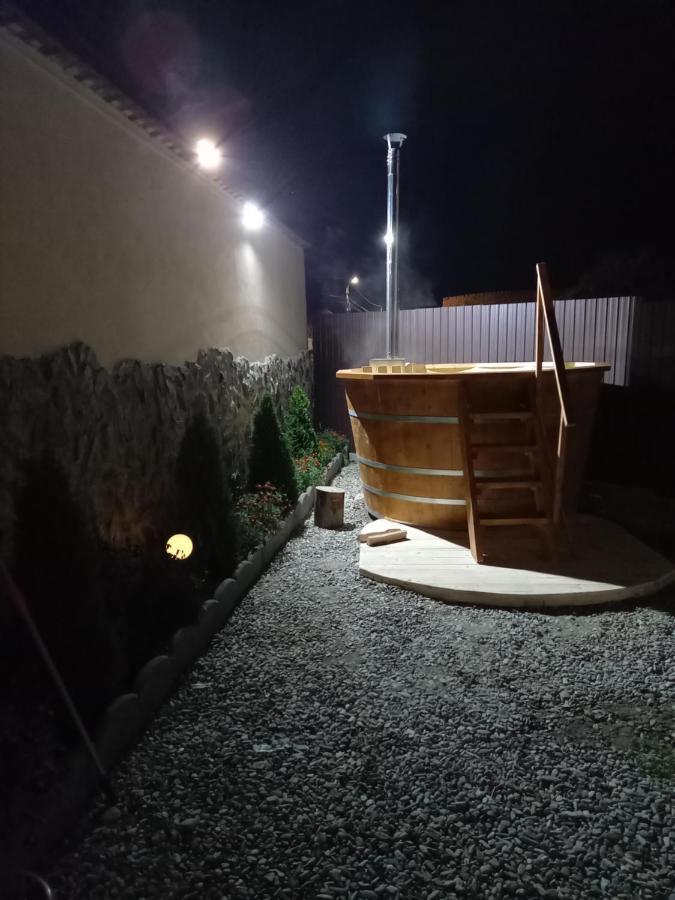 Casa Loredana Cîrţişoara Buitenkant foto